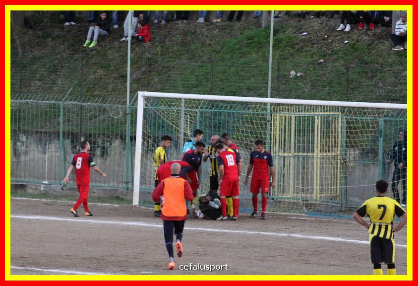 181111 Cepha_Milazzo 277_tn.JPG